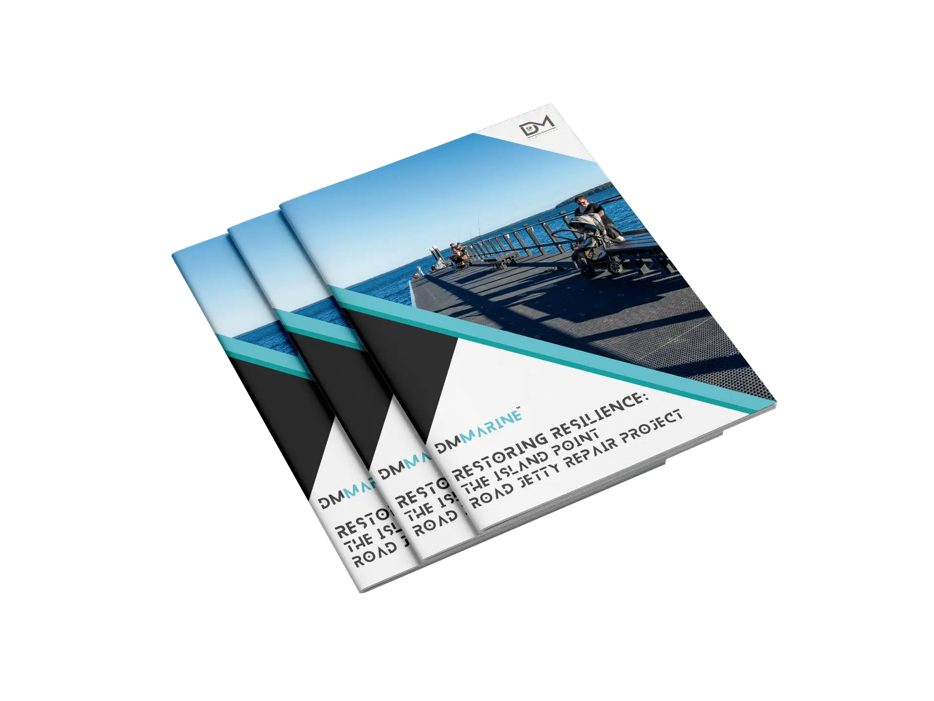Island Point Jetty Case Study cover