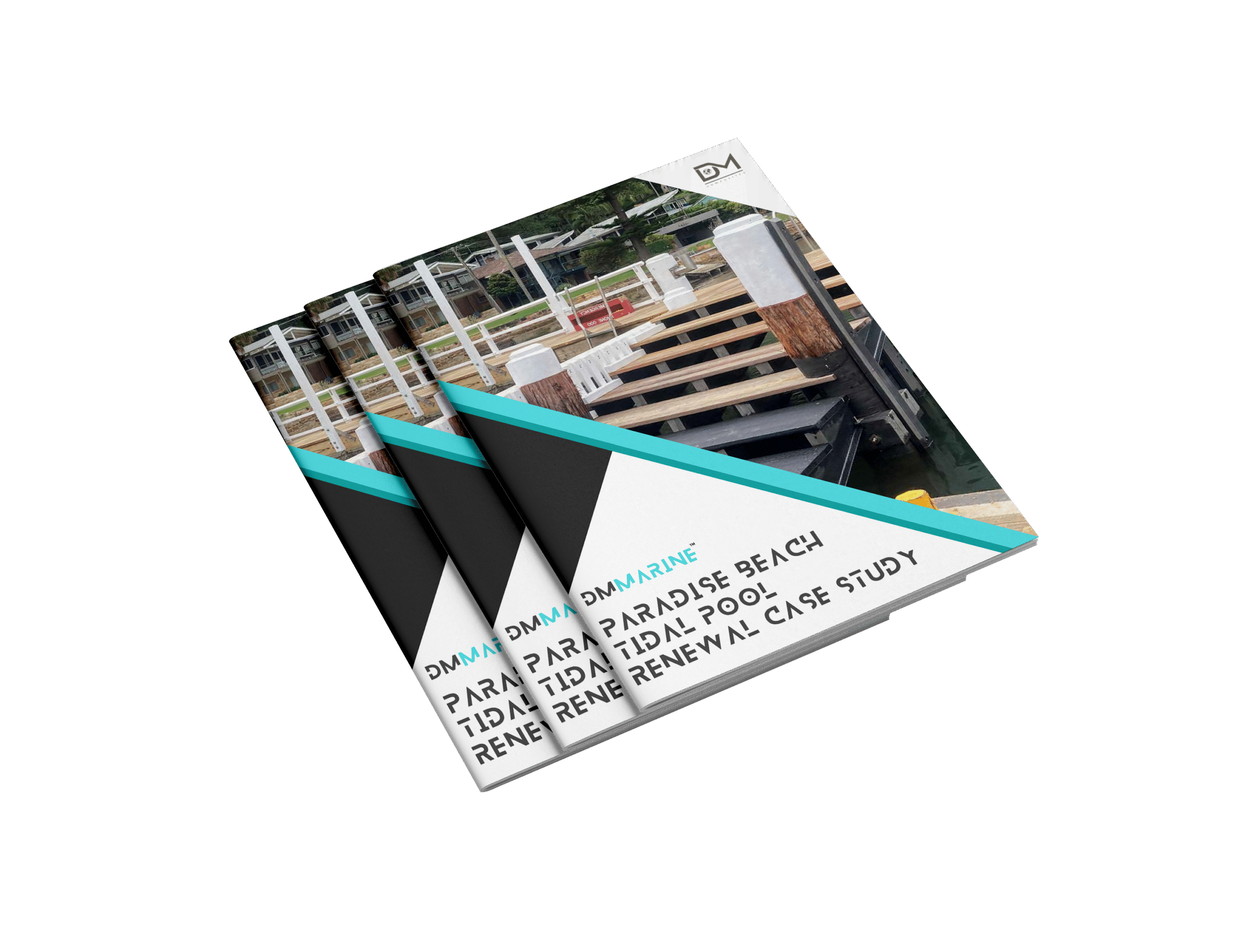 Paradise Beach Tidal Pool Case Study cover