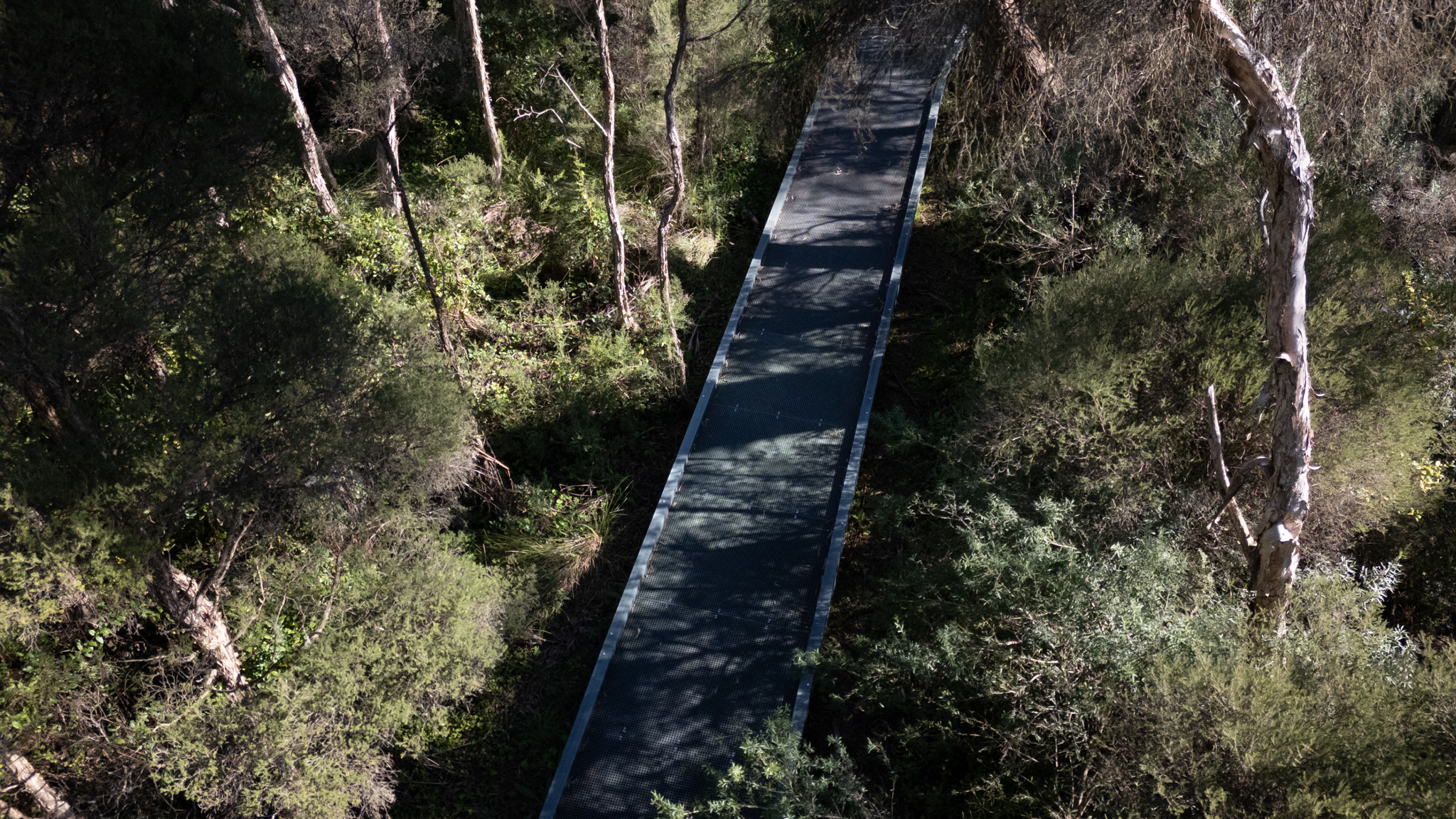 Wantirna Boardwalk