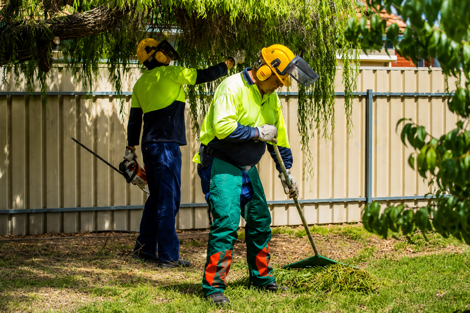 Tree care crew completing landscaping and finishing works